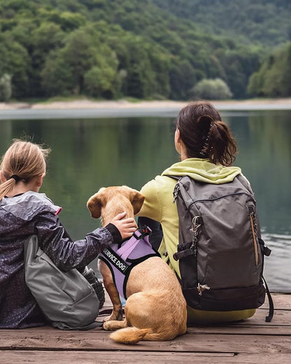 FAYOGOO Service Dog Vest for Medium Breed - Lightweight Dog Harness with 6PCS Removable Patches - Puppy Harness and Leash Set for Walking,Training