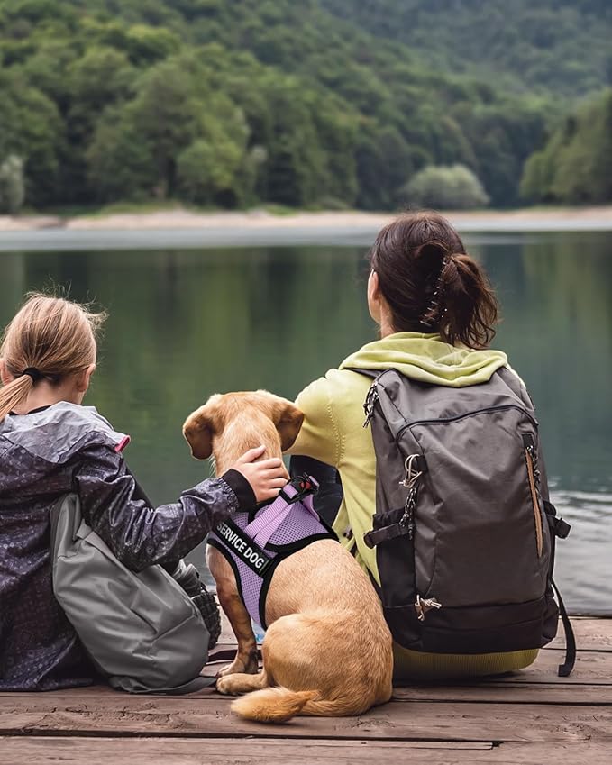 FAYOGOO Service Dog Vest for Small Breed - Lightweight Dog Harness with 6PCS Removable Patches - Puppy Harness and Leash Set for Walking,Training