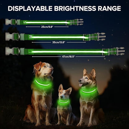 Led Dog Collar for Night Walking