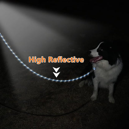 NTR 6FT Heavy Duty Dog Leash