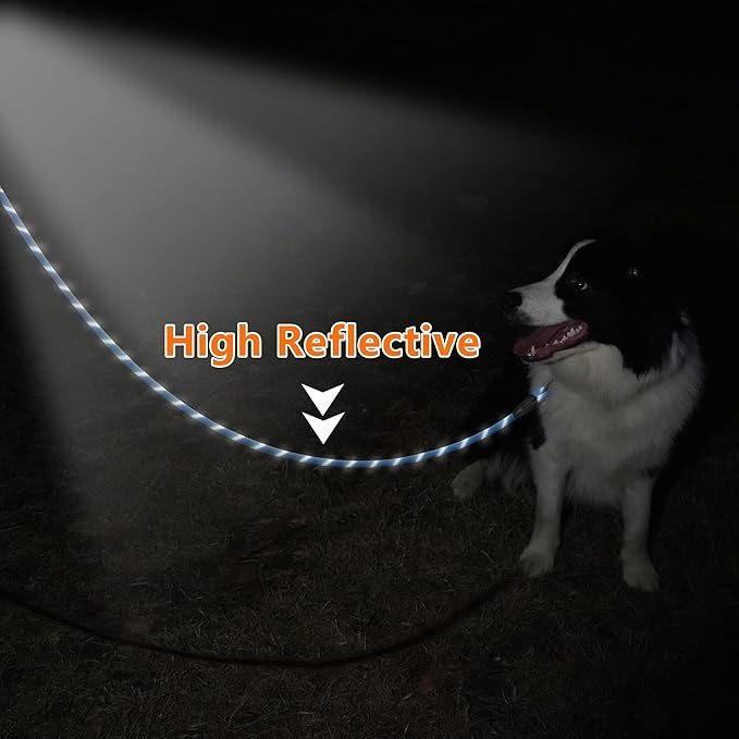 NTR 5FT Heavy Duty Dog Leash