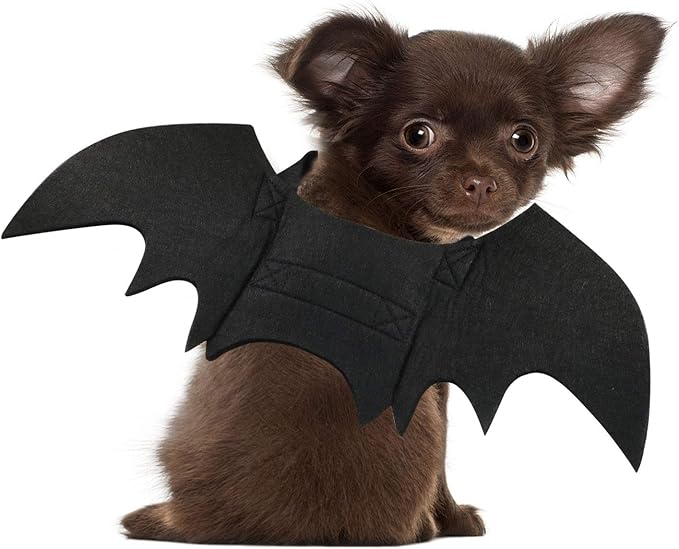 Rypet Cat Bat Costume - Halloween Pet Costume Bat Wings Cosplay Dog Costume Cat Costume for Party XS