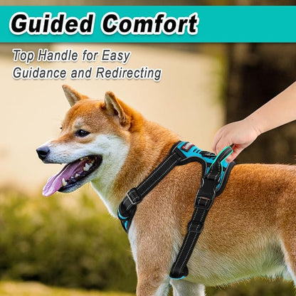 BARKBAY Dog Harness No Pull for Large Dogs - Adjustable, Reflective, Comfortable, No Choke, Heavy-Duty - Perfect for Outdoor Training, Walking, and Hiking - Strong & Durable - L & Blue