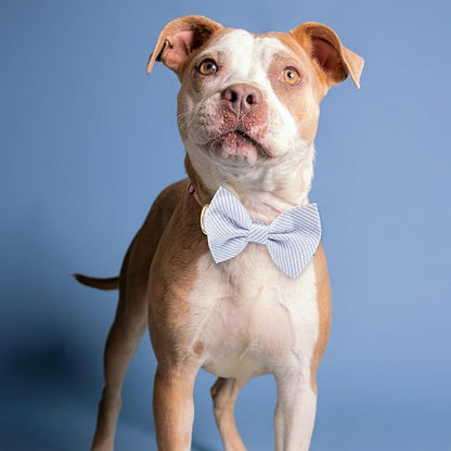 Adjustable Pet Bow Tie and Dog Collar for Small Medium Large Dogs