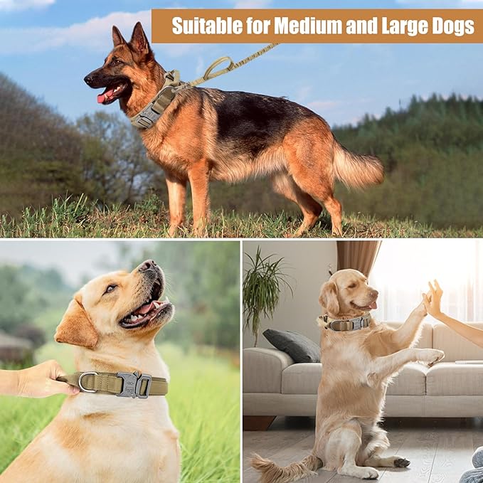 Tactical Dog Collar Leash Set