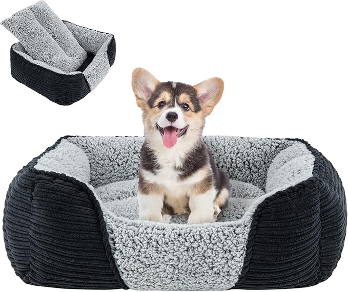 Miguel Washable Dog Bed with Removable Cushion for Small Dogs 20 Inch