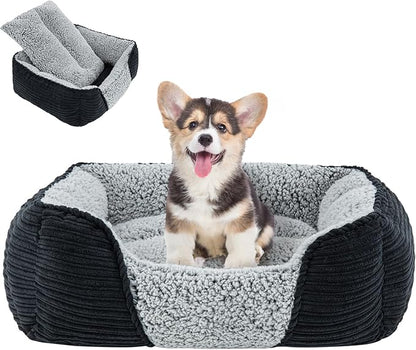 Miguel Washable Dog Bed with Removable Cushion for Small Dogs 20 Inch