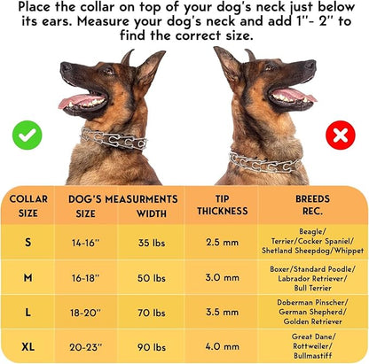 Prong Collar for Dogs