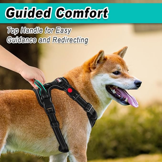 BARKBAY Dog Harness No Pull 3 Buckles for Large Dogs - Adjustable, Reflective, Comfortable, No Choke, Heavy-Duty - Perfect for Outdoor Training, Walking, and Hiking - Strong & Durable - L & Black