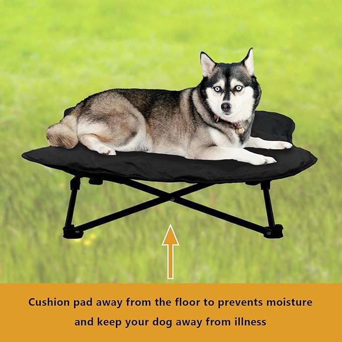 Elevated Dog Bed (36x36x12inch)