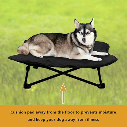 Elevated Dog Bed (36x36x12inch)