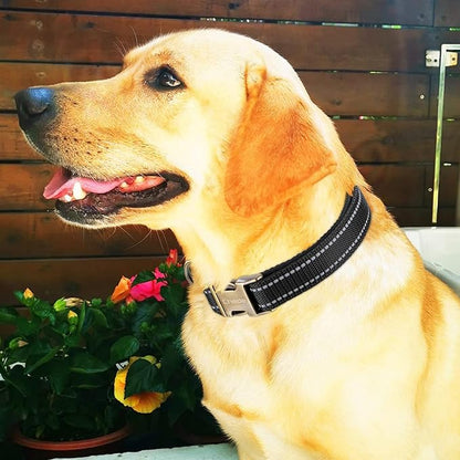 CHEDE Reflective Dog Collar