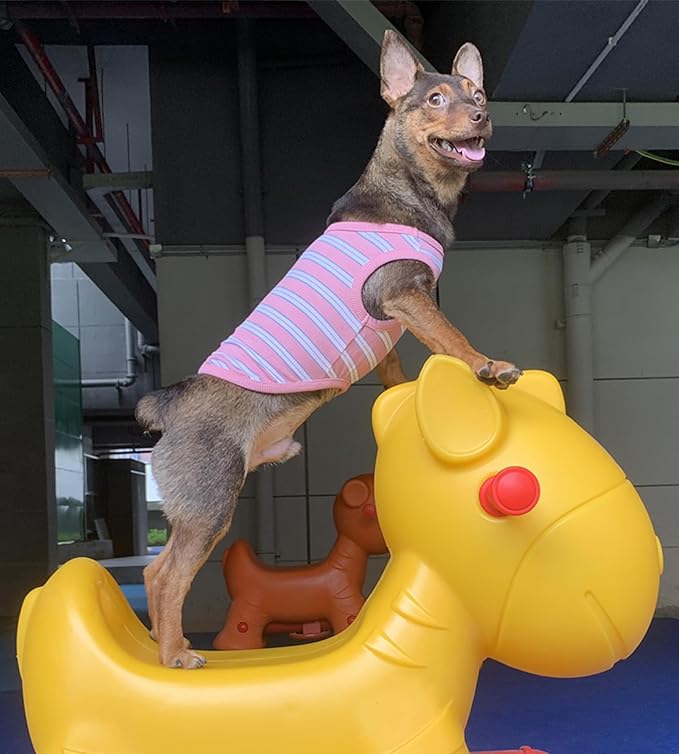 YQYS Dog Shirts Multi-Color Striped Cotton Vest for Small Dogs and Cats Puppy Clothes Teacup Dog Clothing Tank Top for Chihuahua Miniature Pinscher Pink XXSmall