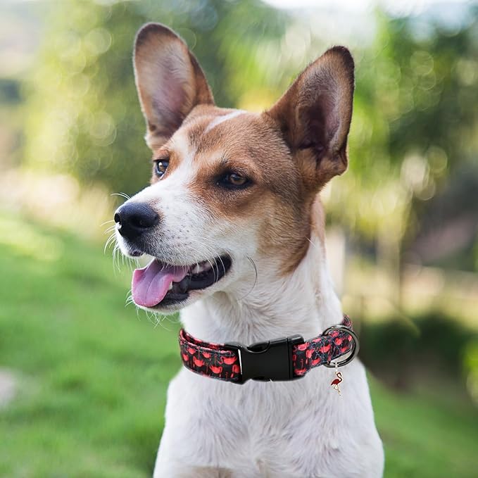 Flamingoes Patterns Dog Collar with Pendant