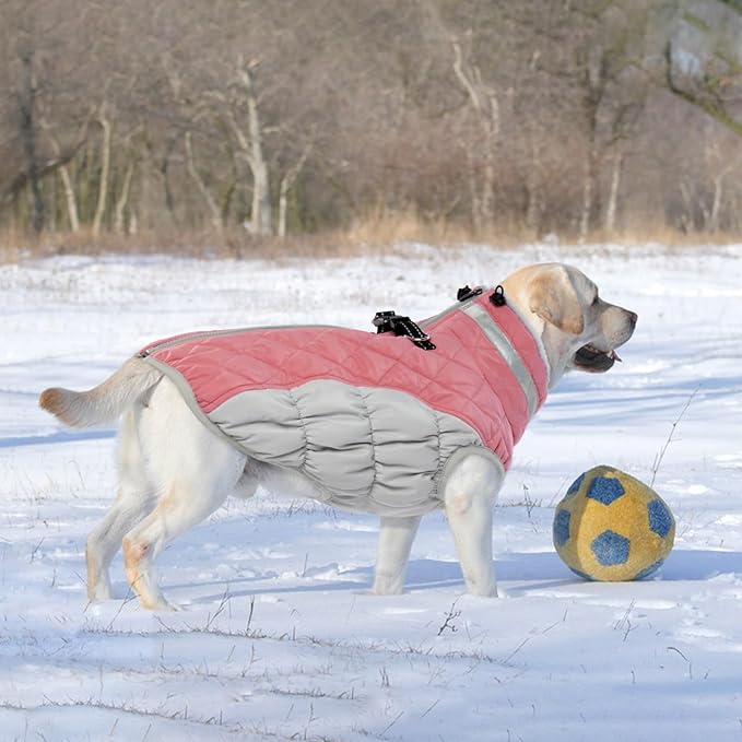 Dog Winter Coat 3XL