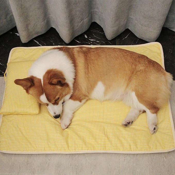 Dog Bed with Blanket Cat Pillow Cozy Puppy Sleeping Bed Washable Pet Supplies for Small Puppy Kitten