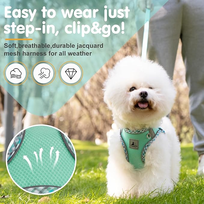 Dog Harness and Leash Set, No Pull Pet Harness for Small Dogs Easy Walking,Soft Breathable Small Dog Harness,Adjustable Reflective Step in Vest Harness for Puppy,Kitten, Cats