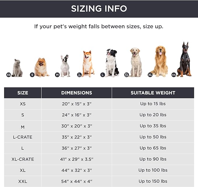 Bedsure Small Dog Bed for Small Dogs 20 lbs,