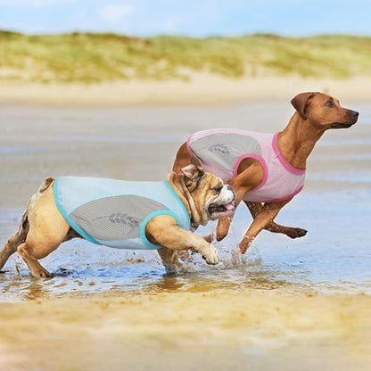 Dog Shirt Soft and Thin 3XL)