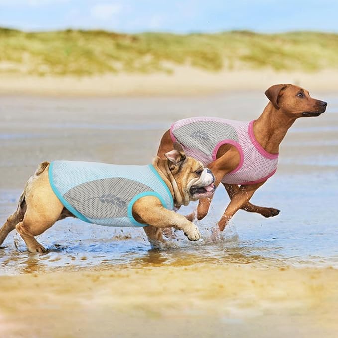 Dog Shirt Soft and Thin