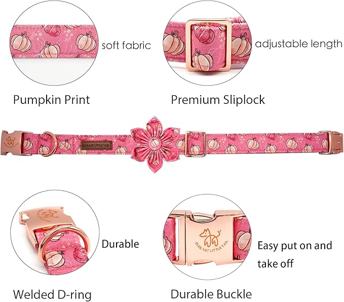 Elegant little tail Dog Collar with Flower