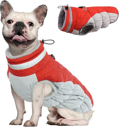 Dog Coat