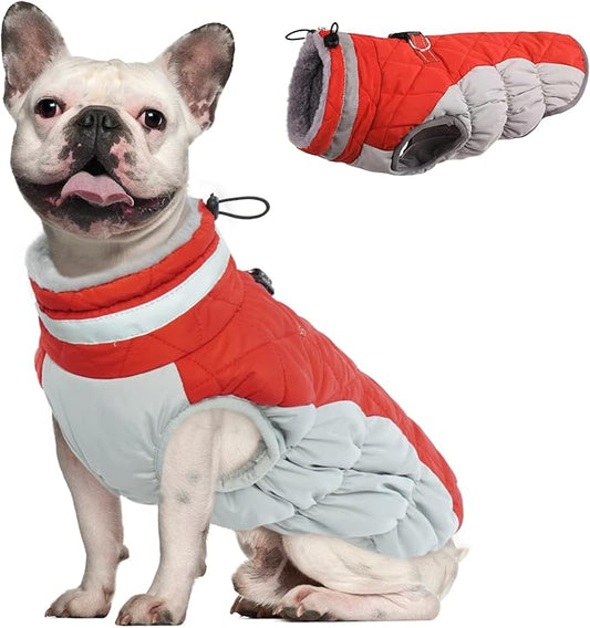Dog Coat