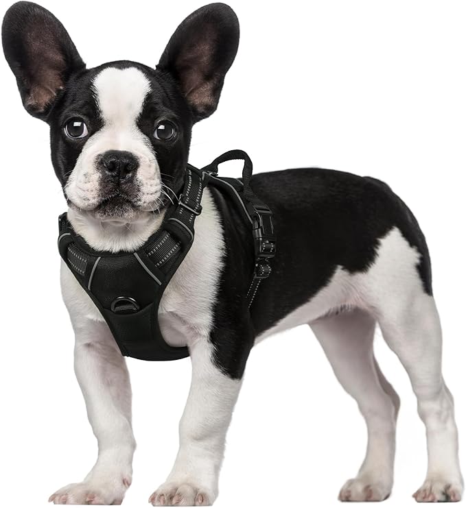 rabbitgoo Dog Harness, No-Pull Pet Harness with 2 Leash Clips, Adjustable Soft Padded Dog Vest, Reflective No-Choke Pet Oxford Vest with Easy Control Handle for Small Dogs, Black, S