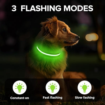 Led Dog Collar for Night Walking