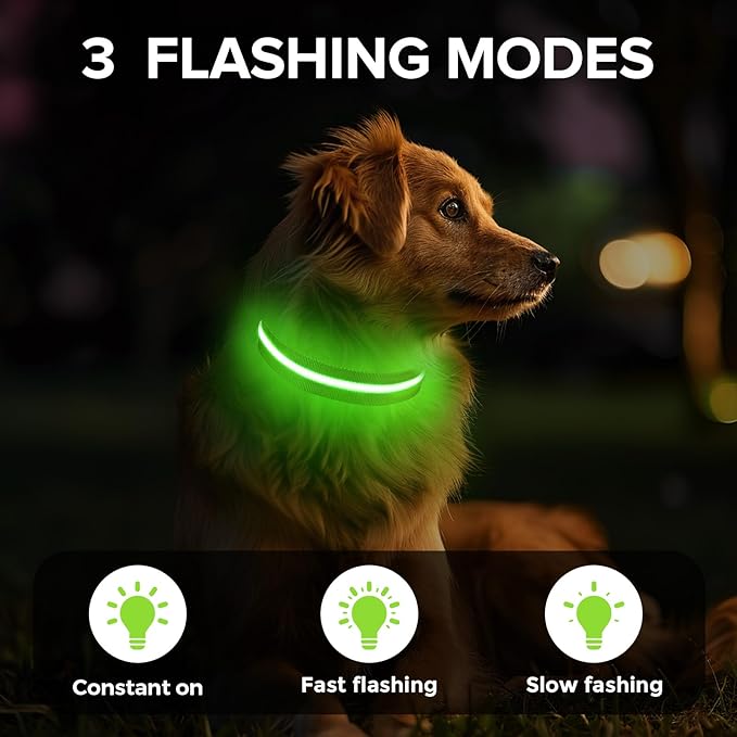Led Dog Collar for Night Walking
