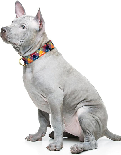 Reflective Dog Collar