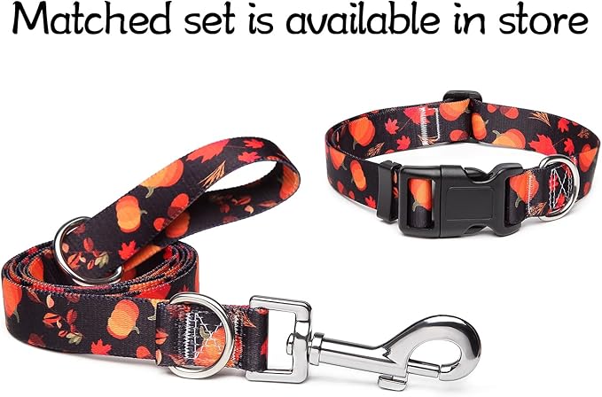 Adjustable Dog Collar with Patterns