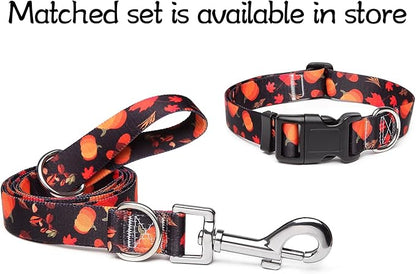 Adjustable Dog Collar with Patterns