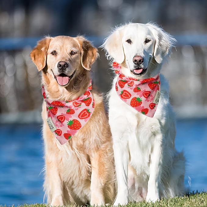SCENEREAL Summer Dog Bandana