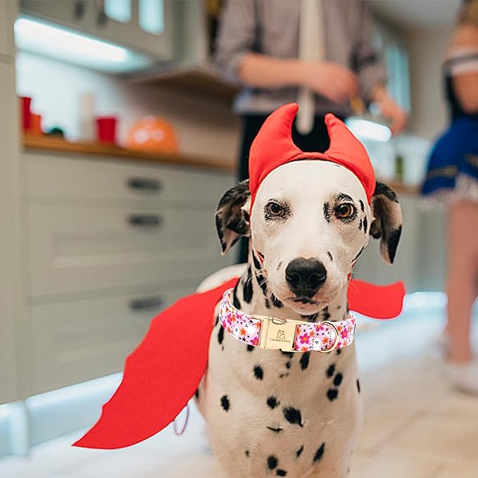 Lionheart glory Dog Collars Fall Halloween Pumpkin Collar