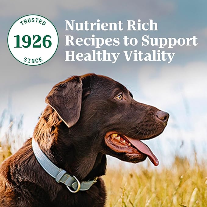 Nutro Natural Choice Adult Dry Dog Food, Beef and Brown Rice Recipe, 12 lbs.