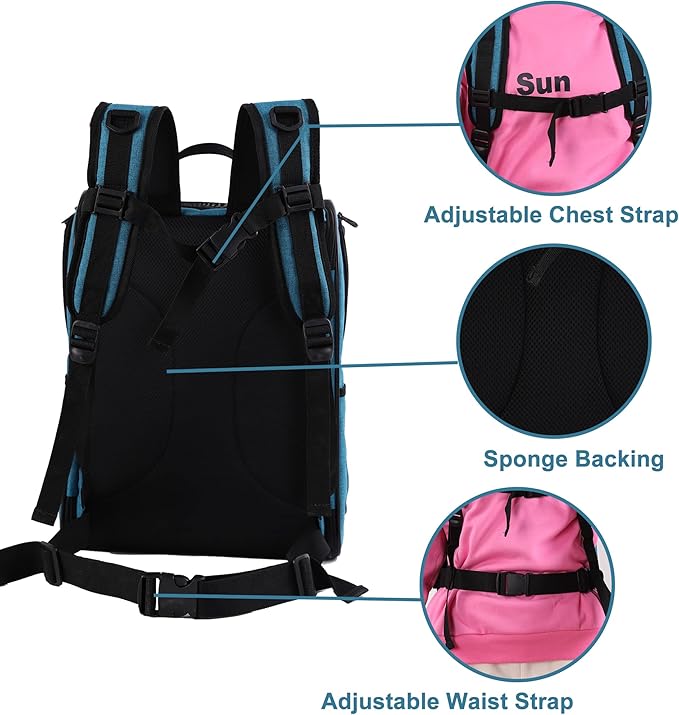 Apollo Walker Pet Carrier Backpack for Large/Small Cats and Dogs, Puppies, Safety Features and Cushion Back Support | for Travel, Hiking, Outdoor Use (Teal)