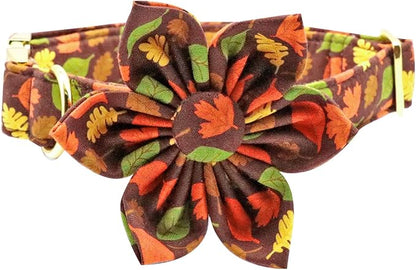 Unique style paws Fall Dog Collar with Bow