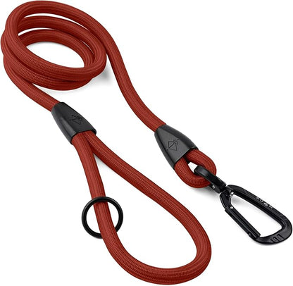 MADE TO ROAM Premium Everyday Leash 6ft (Metal