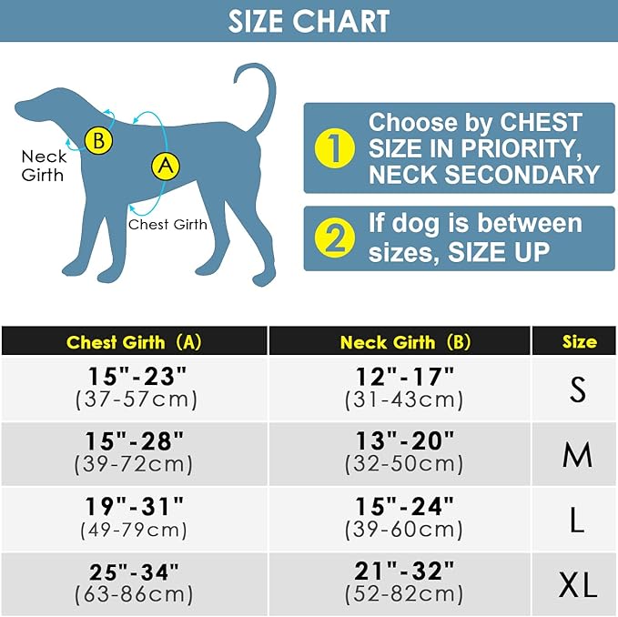 ThinkPet No Pull Harness Breathable Sport Harness with Handle-Dog Harnesses Reflective Adjustable for Medium Large Dogs,Back/Front Clip for Easy Control L Teal