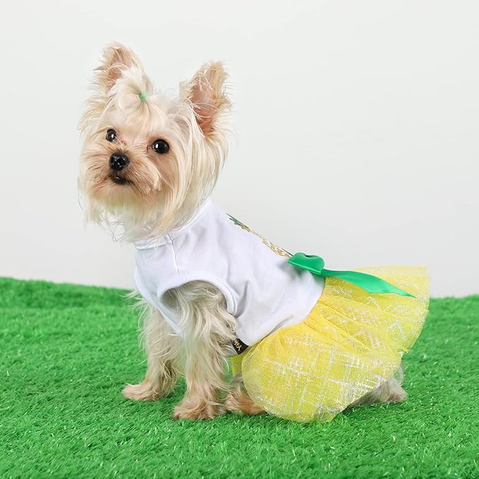 Dog Dress for Small Medium Dogs Girl Pineapple Mesh Dress Dog Outfit