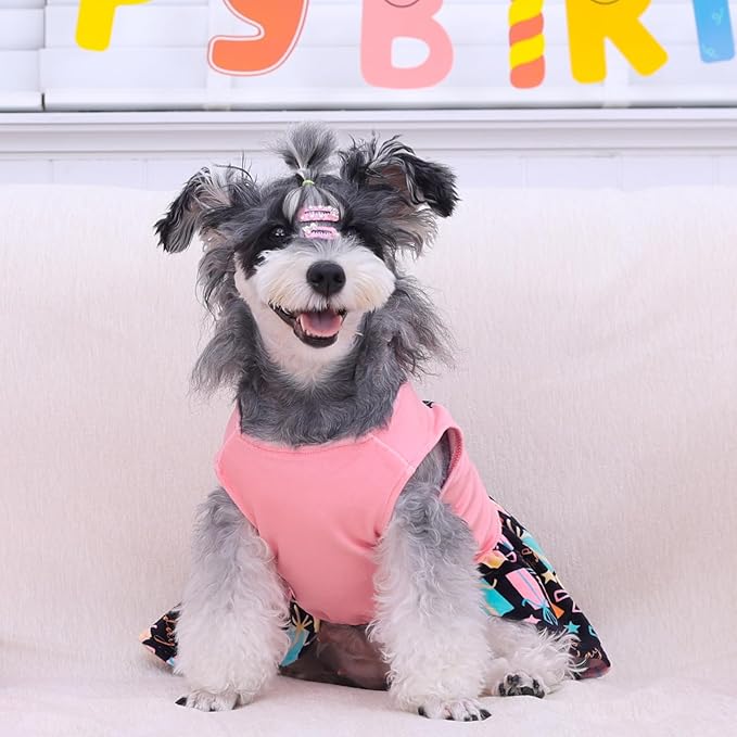 CuteBone Birthday Dog Dresses Velvet Holiday Small Dogs Clothes Onesie Pet Apparel Girl Puppy Skirt with Bow Hair Rope CVA48XXS-D