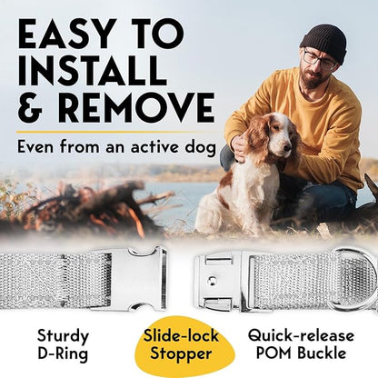 Prong Collar for Dogs