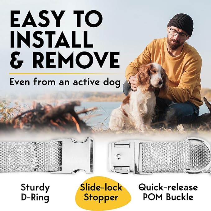 Prong Collar for Dogs