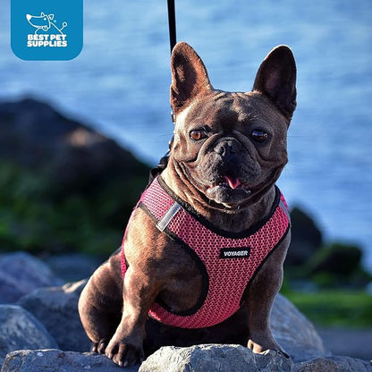 Voyager Step-in Air Dog Harness - All Weather Mesh Step in Vest Harness for Small and Medium Dogs and Cats by Best Pet Supplies - Harness (Fuchsia 2-Tone), XS (Chest: 13-14.5")