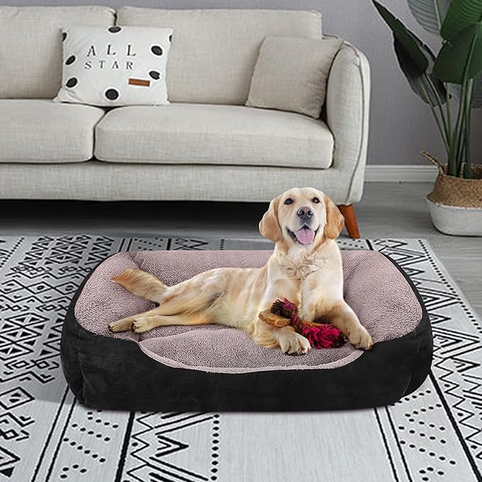 PUPPBUDD Dog Beds for Medium Dogs