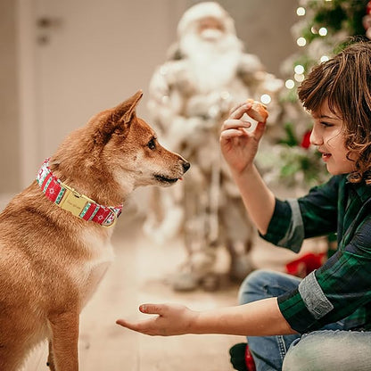 Unique style paws Dog Collar Metal Buckle Collar