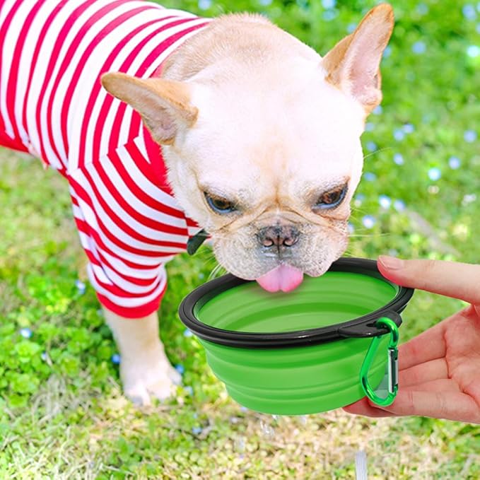 Dog Bowl Pet Collapsible Bowls, 2 Pack for Cats Dogs, Portable Pet Feeding Watering Dish for Walking Parking Traveling with 2 Carabiners (Small, Blue+Green)