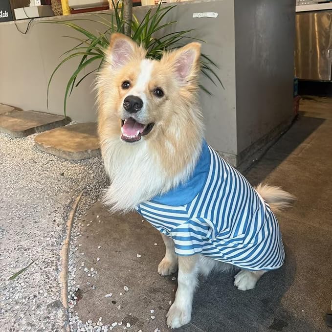 Cute Dog Clothes Striped Dog Polo Shirts Cute Sweater Puppy Clothes Gentle Sweater Pet Clothes for Small Medium Large Dogs Cats (Blue Stripe 4XL Size 55-65lb Pets)