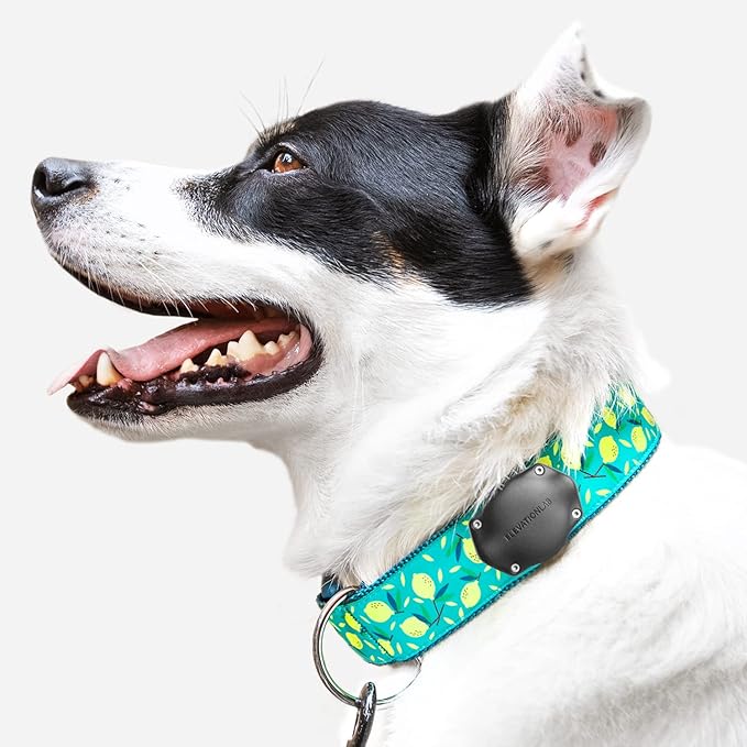 TagVault™ AirTag Dog Collar Mount - IP68 Waterproof, Doesn't Dangle, Fits All Width Collars | Elevation Lab